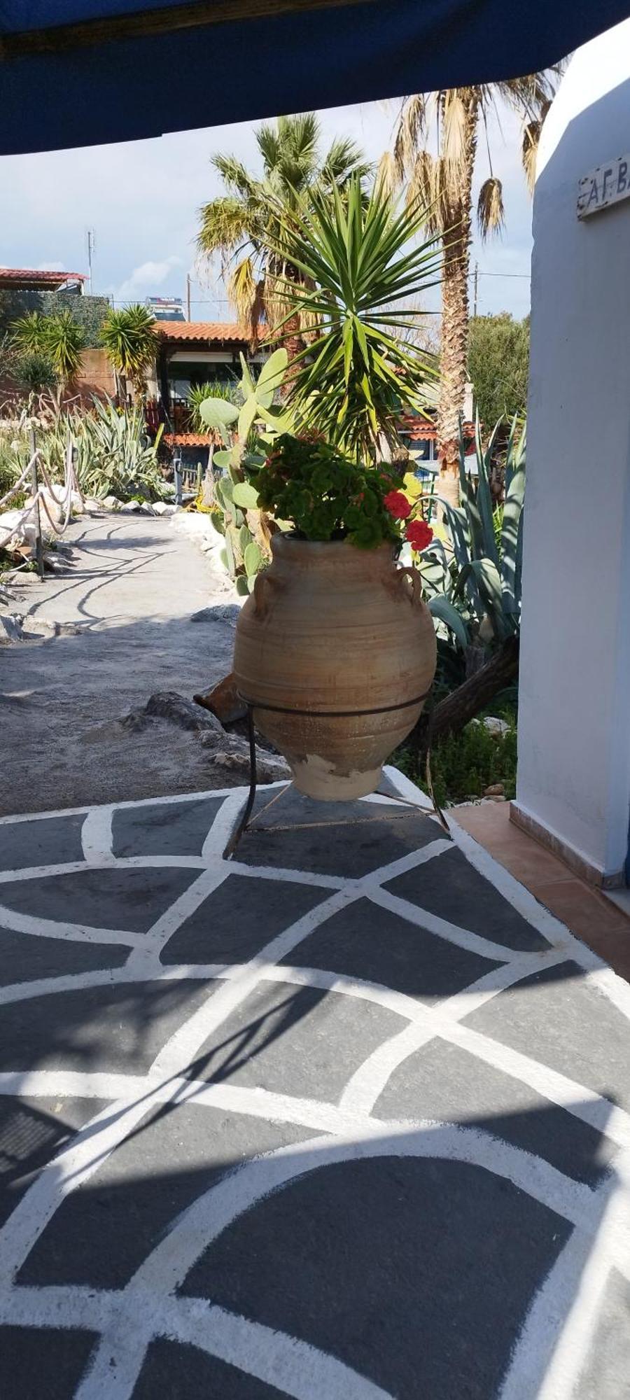 Kynosoura'S Sea View Daire Ambelakia Dış mekan fotoğraf