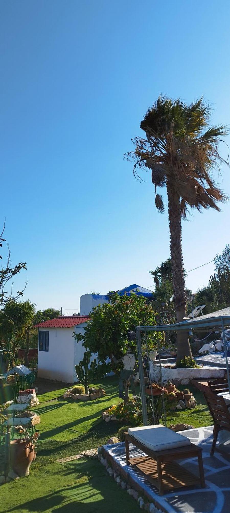Kynosoura'S Sea View Daire Ambelakia Dış mekan fotoğraf